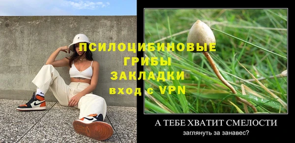 тгк Алексин